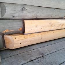 Rotten Log Replacement In Blue Ridge GA 3